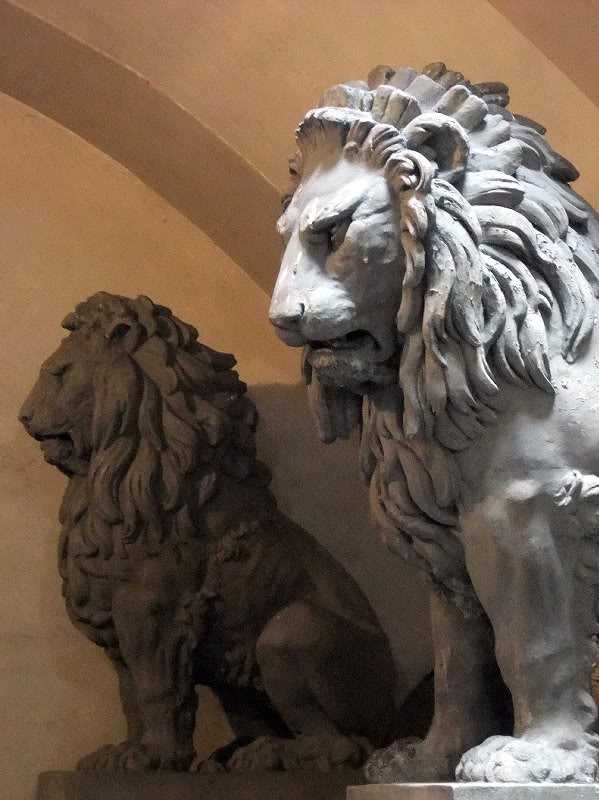 Lions - Palazzo Vecchio