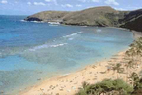 [Hanauma Bay]