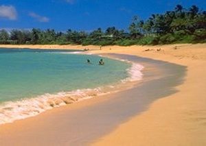 [Sunset Beach on O`ahu's North Shore]