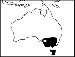 Southern Bell Frog Distribution Map