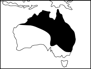 Green Tree Frog Distribution Map