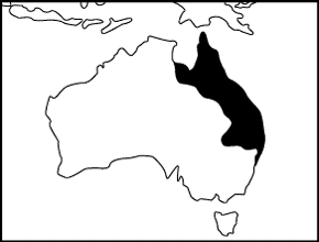Cane Toad Distribution Map