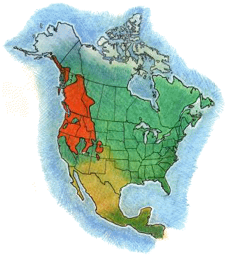map that shows the historical distribution of the Boreal Toad within the North America(created by Dale Crawford)