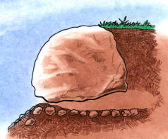 Cutaway drawing of a boreal toad burrow (created by Dale Crawford).