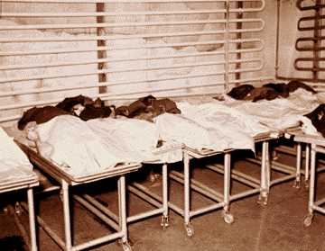 Bodies on gurneys pile up against the refrigerated wall of the old Wayne County Morgue on Brush on the edge of Greektown.