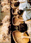 Branches of the (kozo, gampi or mitsumata) bush are trimmed, soaked, the bark removed, and the tough pliant inner bark laboriously separated, cleaned, then pounded and stretched.