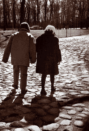 This cobblestone roadway was part of the Historic Roads of the World on the Rotunda grounds.