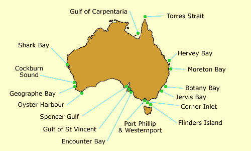 Seagrass map