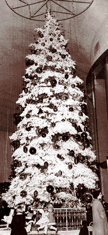 Each year the Christmas Fantasy was topped off by a giant Christmas tree.