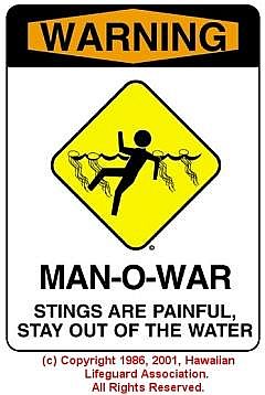 MAN-OF-WAR - © 1986, Hawaiian Lifeguard Association. All Rights Reserved.