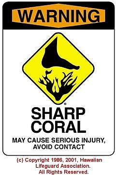 SHARP CORAL - © 1986, 2001, Hawaiian Lifeguard Association. All Rights Reserved.