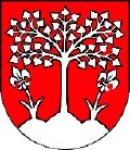 Brezov&aacute; pod Bradlom coat of arms