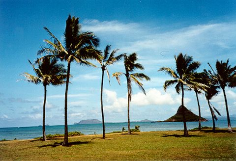 [KUALOA BEACH]