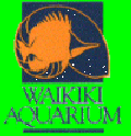 [WAIKIKI AQUARIUM BUTTON]