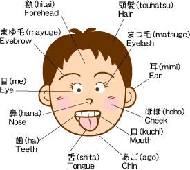 Indicate the part that does not feel well