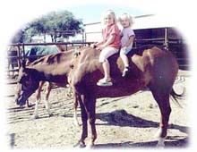 Shelby and her new horse