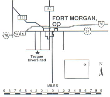 Fort Morgan Feedlot