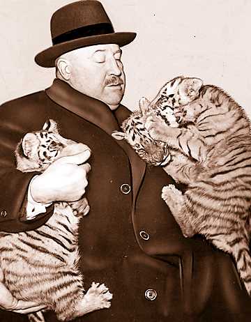 Zoo Director John Millen struggles with three tiger cubs the zoo acquired in 1933. Millen was director of the zoo from the time it opened until his death in 1956. 