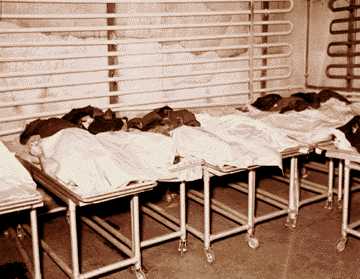 Bodies on gurneys pile up against the refrigerated wall of the old Wayne County Morgue on Brush on the edge of Greektown. 