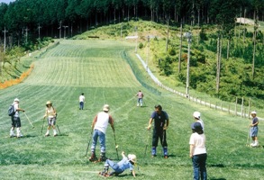 grass ski area