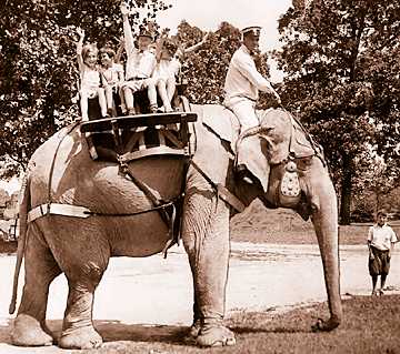 For a nickel, you could ride Paulina the elephant, as these kids are doing in the summer of 1933. Paulina also helped with the construction of the zoo. 