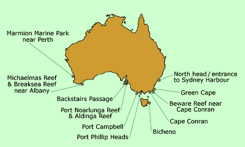 Sponge Garden Map