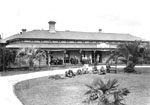 Photograph showing a long house fronted by a verandah, which stands at the head of driveway. The driveway curves around a garden with lawn and palm trees.