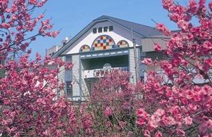 wakimachi theater