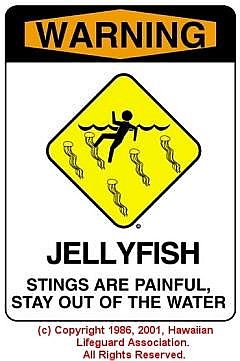 JELLYFISH - © 1986, Hawaiian Lifeguard Association. All Rights Reserved.