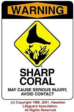 SHARP CORAL - &Acirc;&copy; 1986, 2001, Hawaiian Lifeguard Association. All Rights Reserved.
