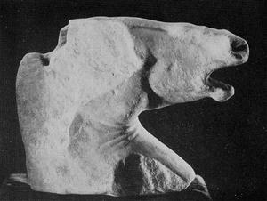 A fragmentary head of a horse in Greek marble