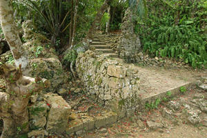 A sacred grove to pray for rain