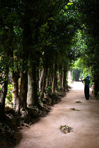 Bise Village - Okinawa